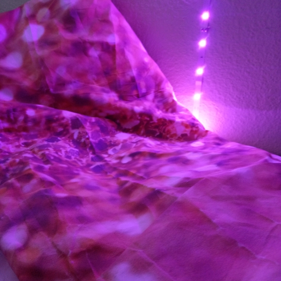 Backdrop - Picture 2 of 8